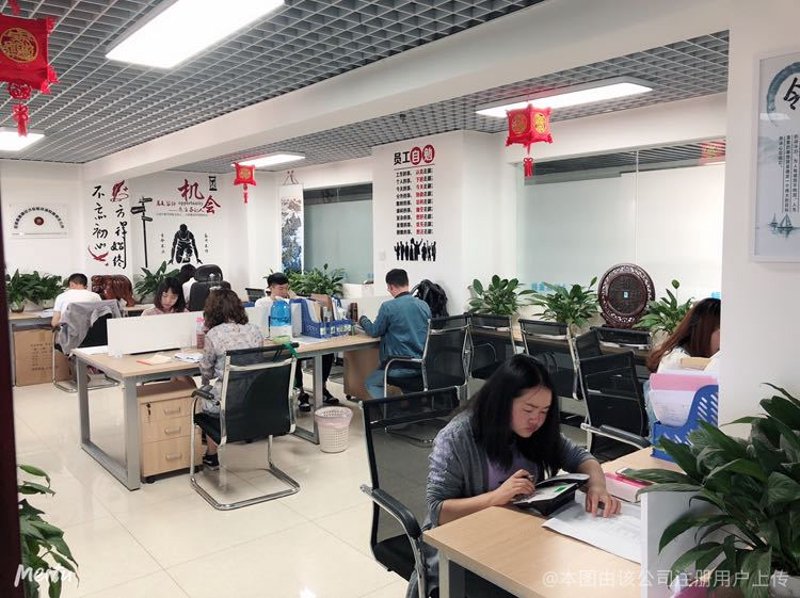 企业成长的航标:解读最新的企业管理咨询服务